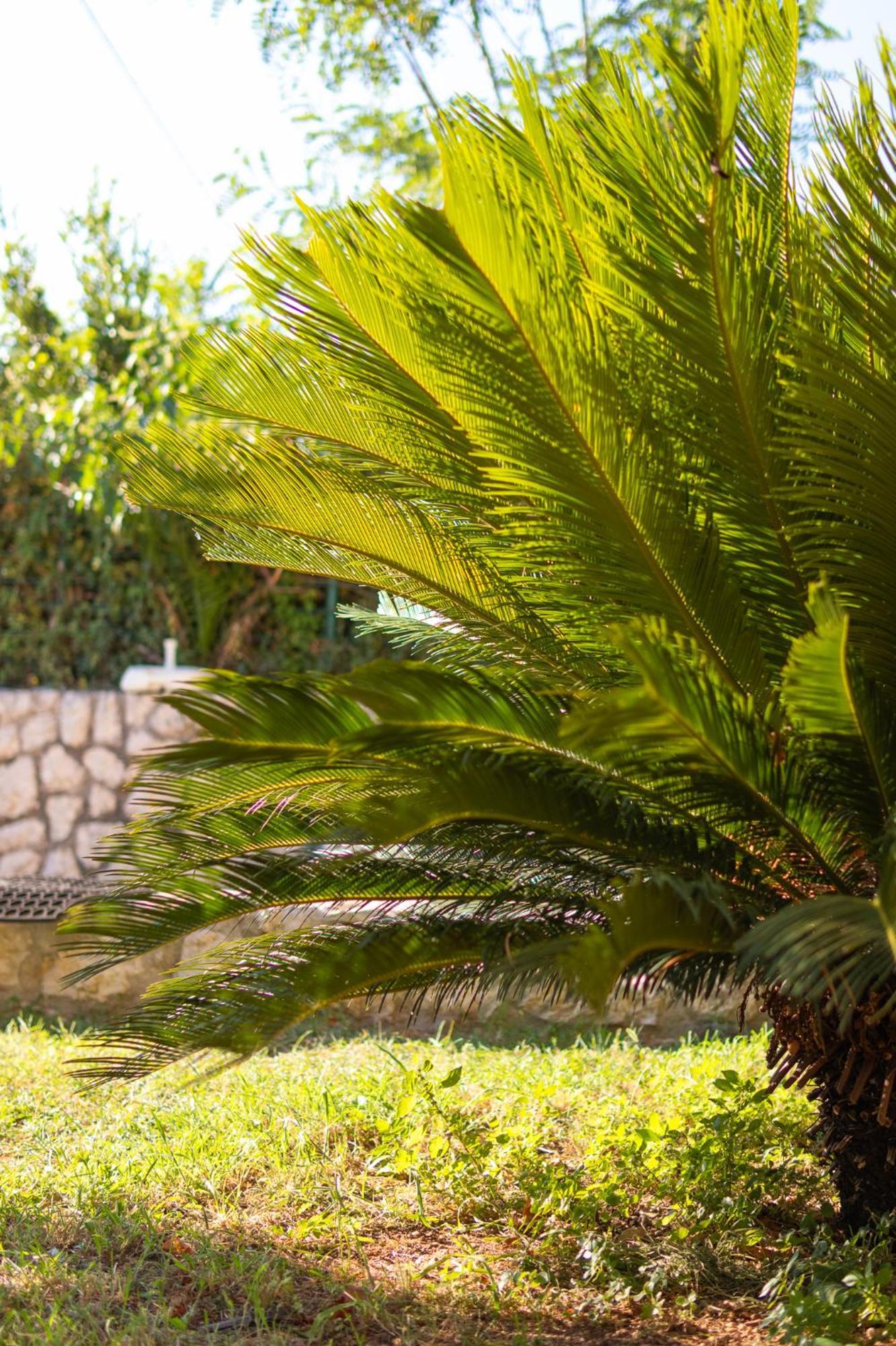 Kadena Apartments Κότορ Εξωτερικό φωτογραφία